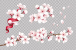 樱花素材