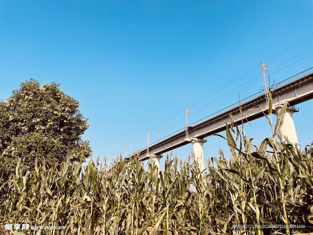 田间地头