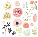 水彩花朵鲜花树叶花卉小鸟矢量