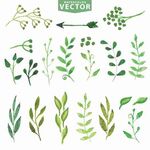 水彩树叶植物叶子花卉果实矢量
