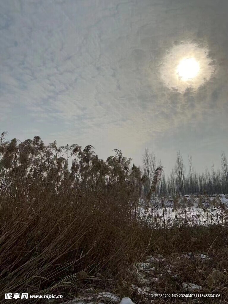 唯美雪景