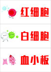 红细胞白细胞血小板