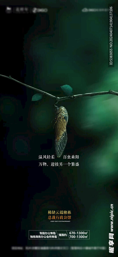立夏节气微海报