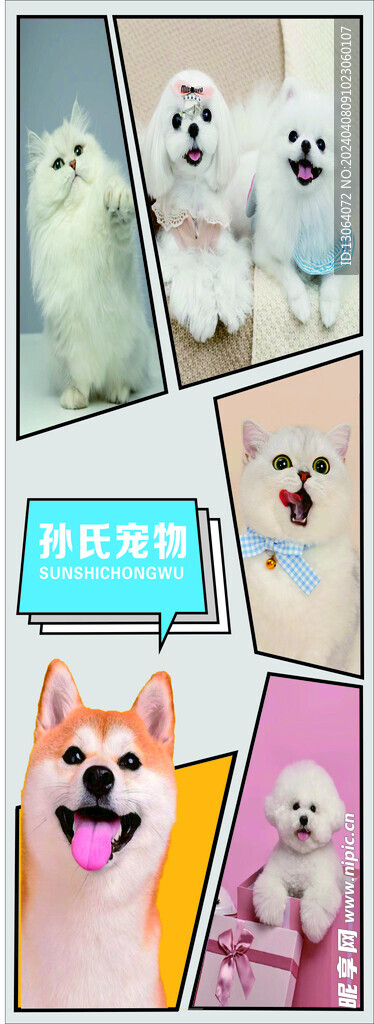 宠物海报