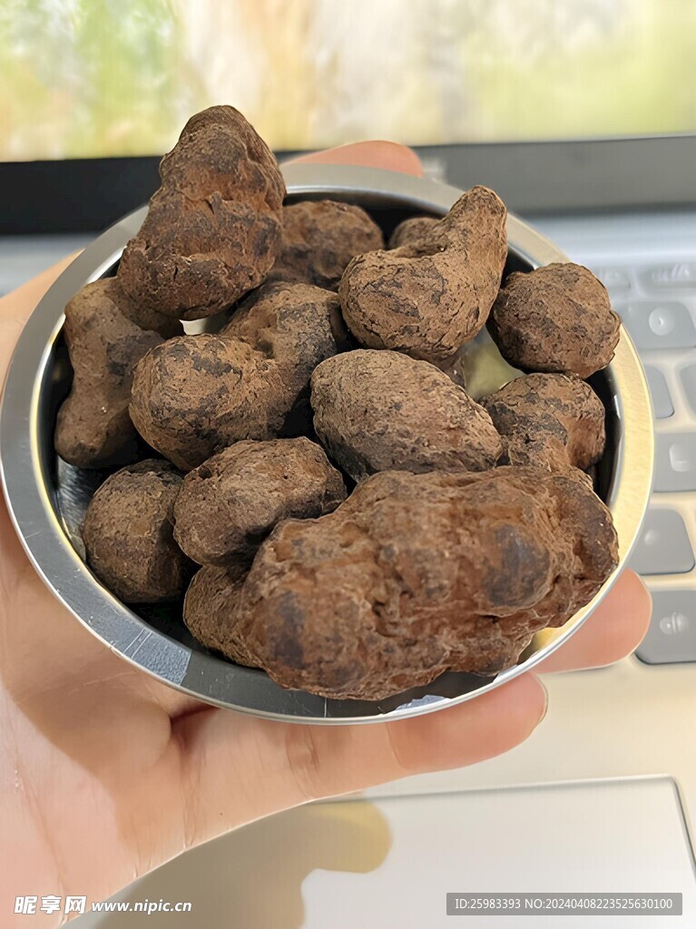坚果