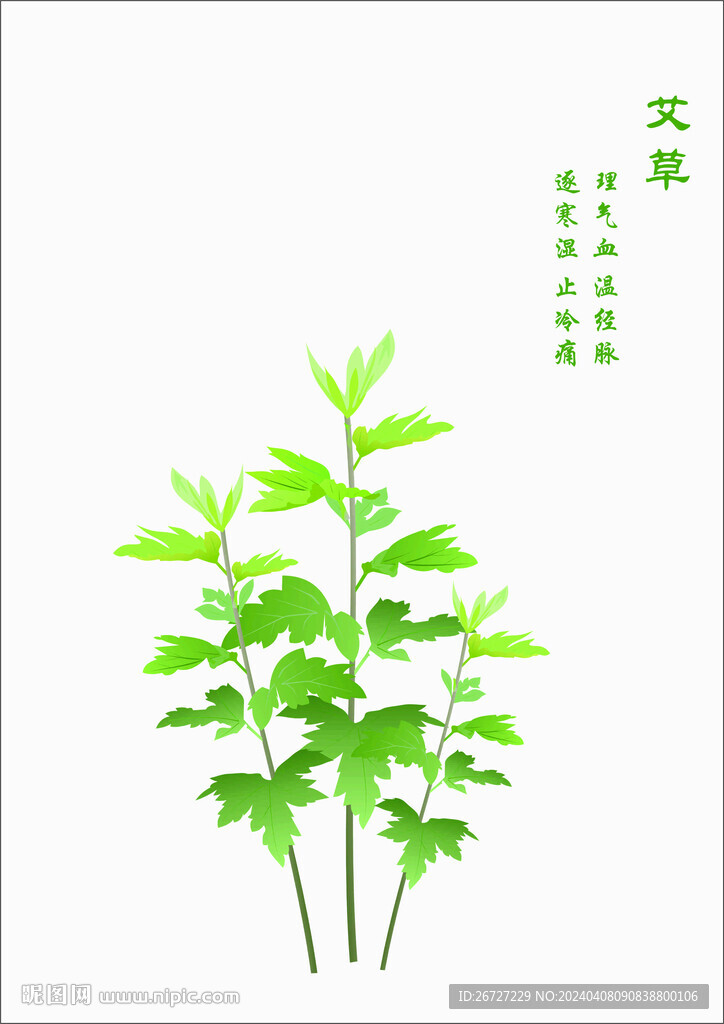 艾草