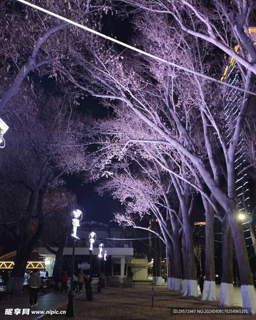 哈尔滨夜景