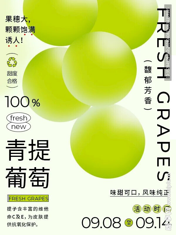 青提葡萄