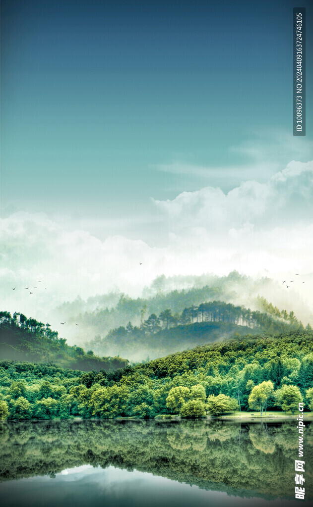 森林背景图片