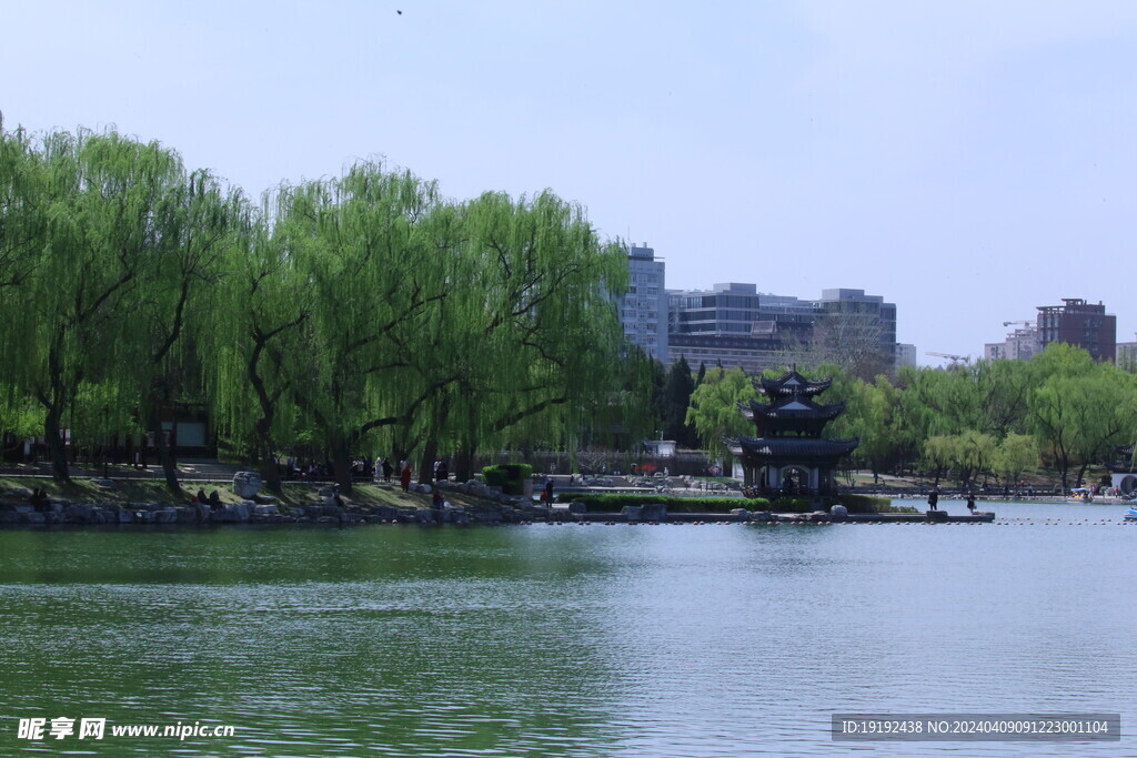公园风景  