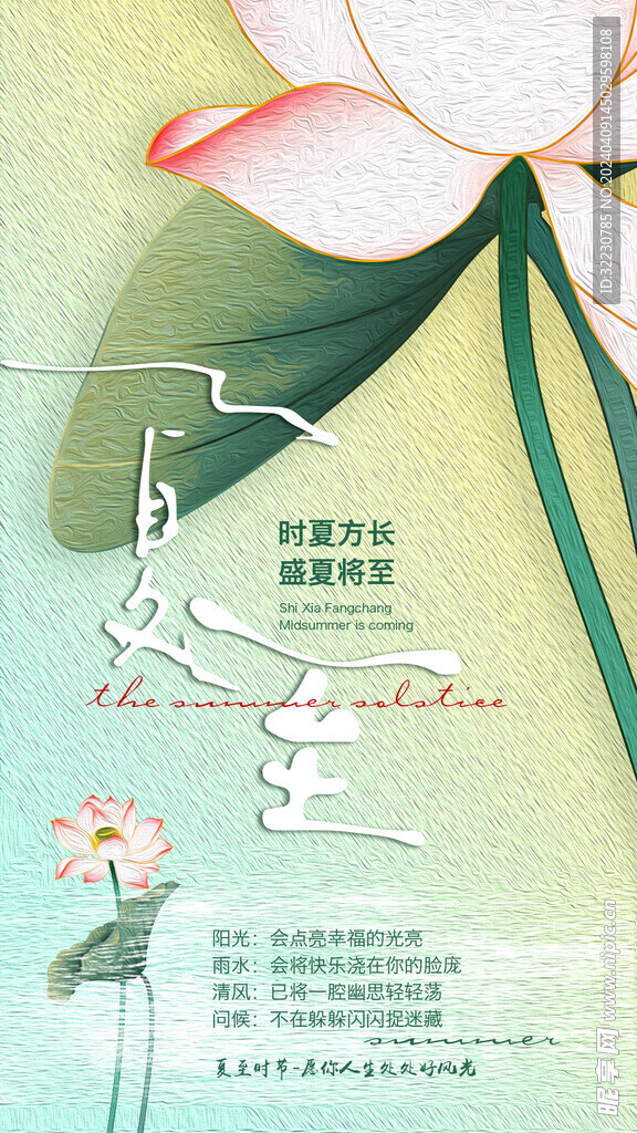 二十四节气 24节气 夏至