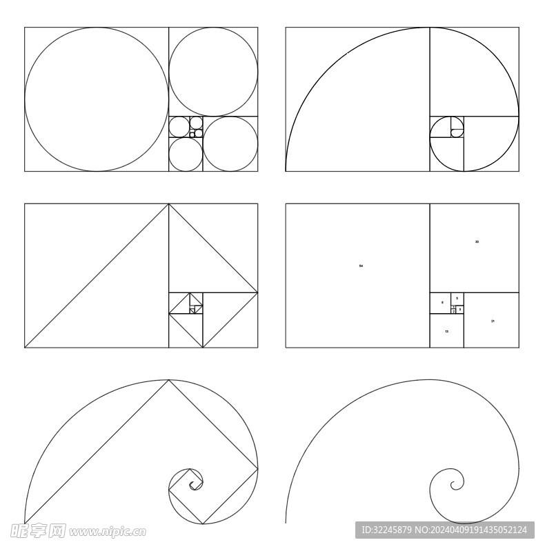 斐波那契黄金螺旋分割线