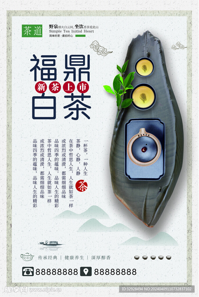 福鼎白茶