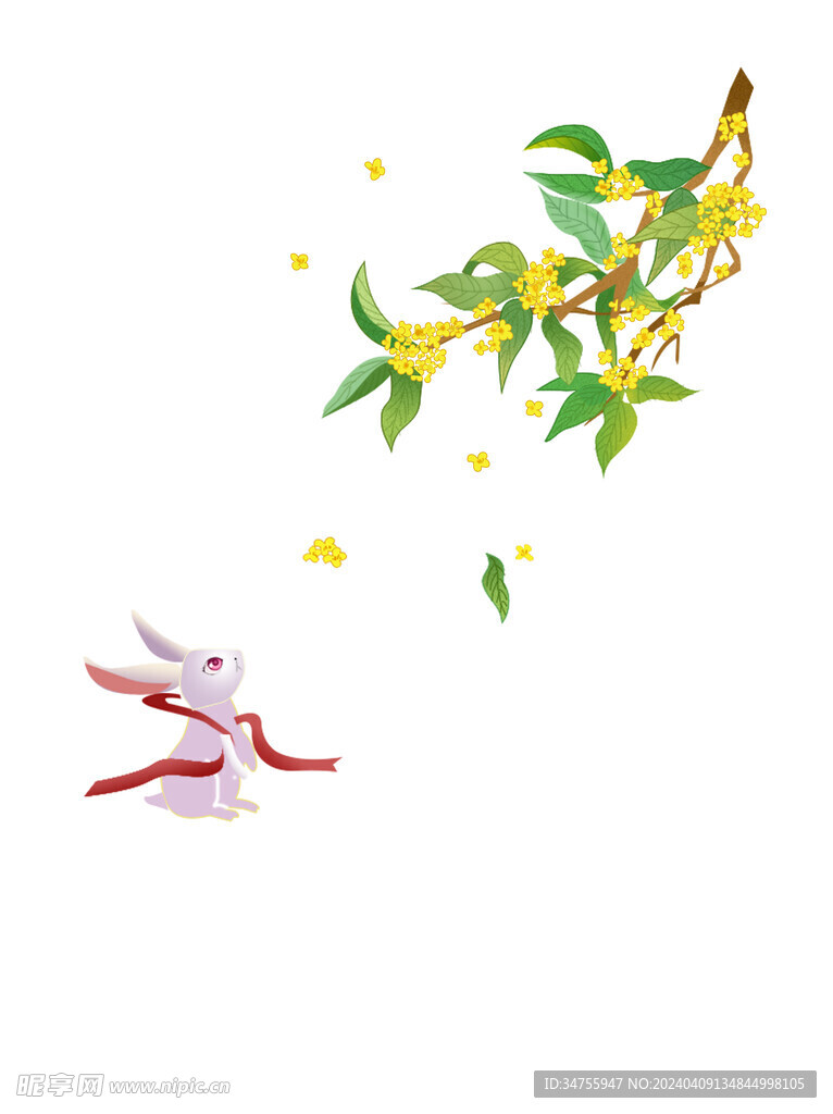 桂花树与兔子