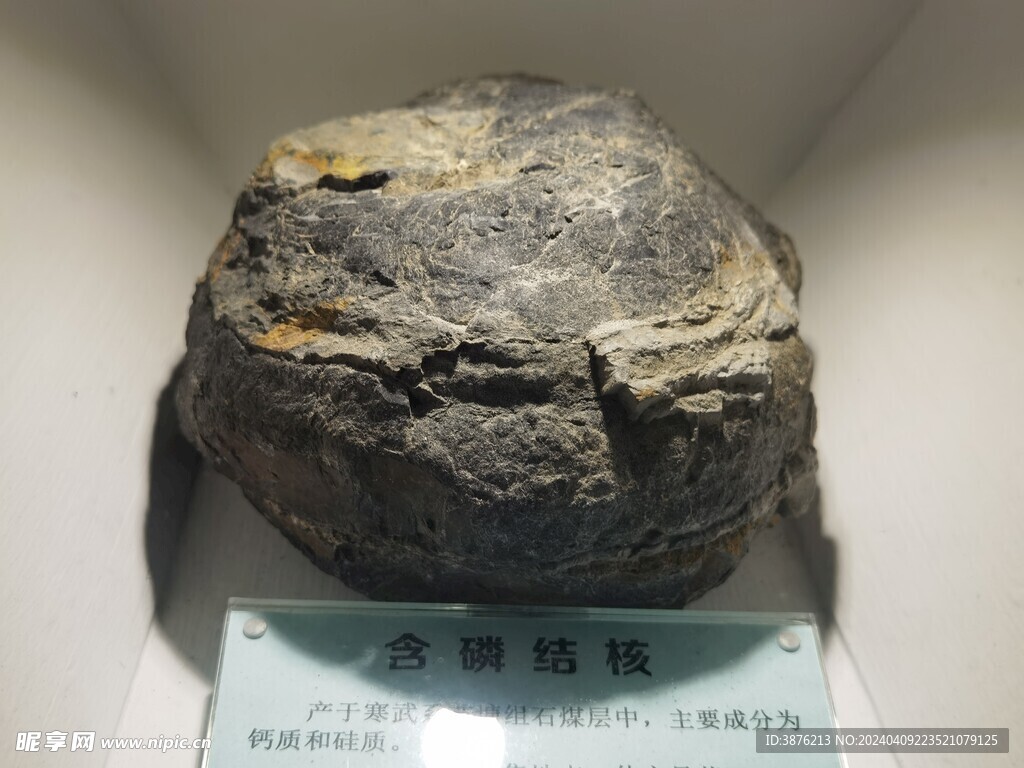含磷结核岩石样本