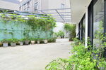 小楼庭院