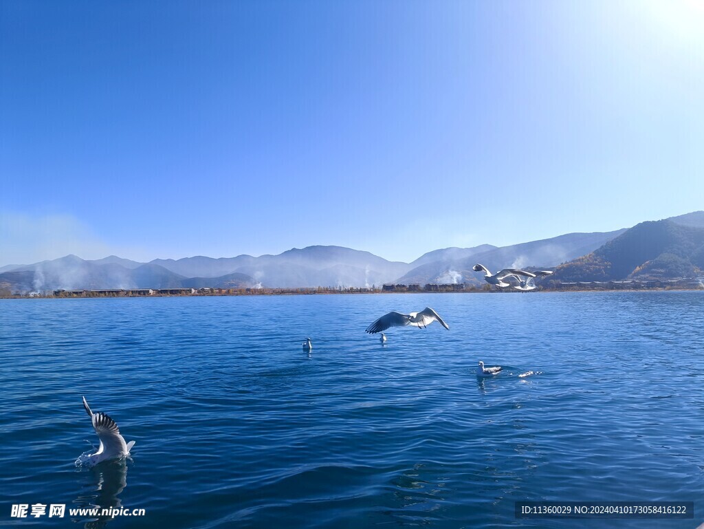 泸沽湖的早晨