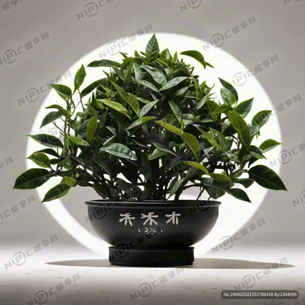 茶树   有锅底塘山头元素