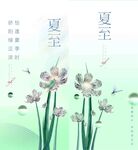 夏至