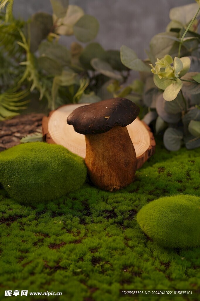 云南菌菇