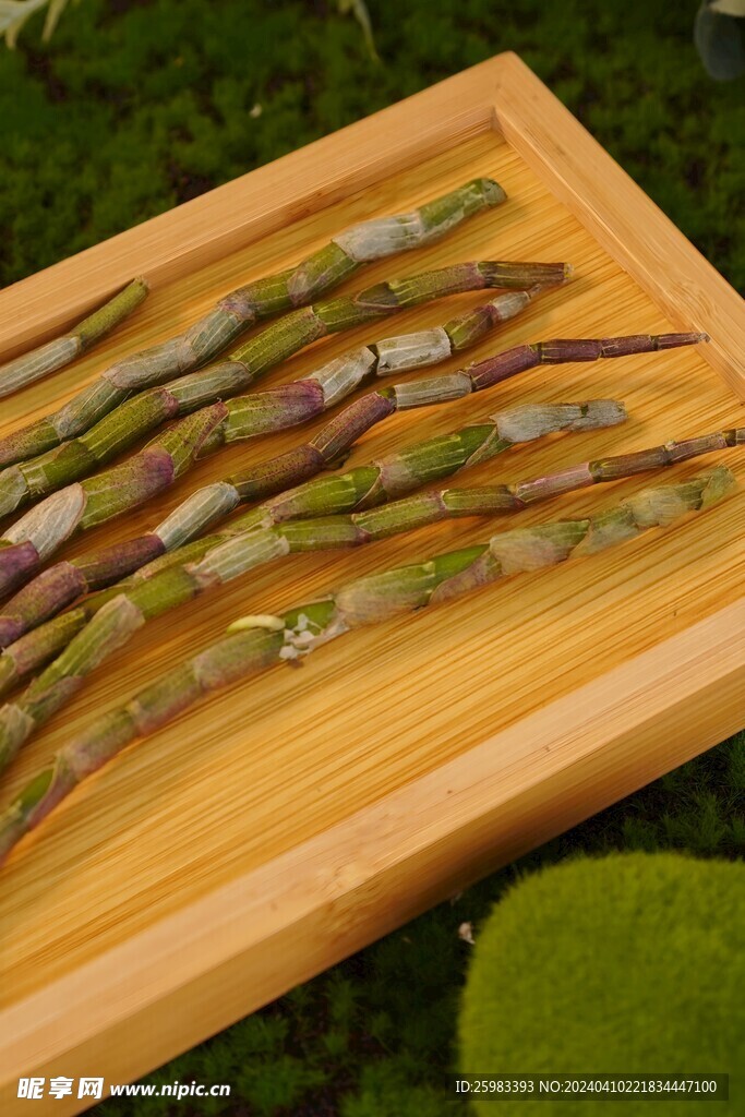 云南菌菇