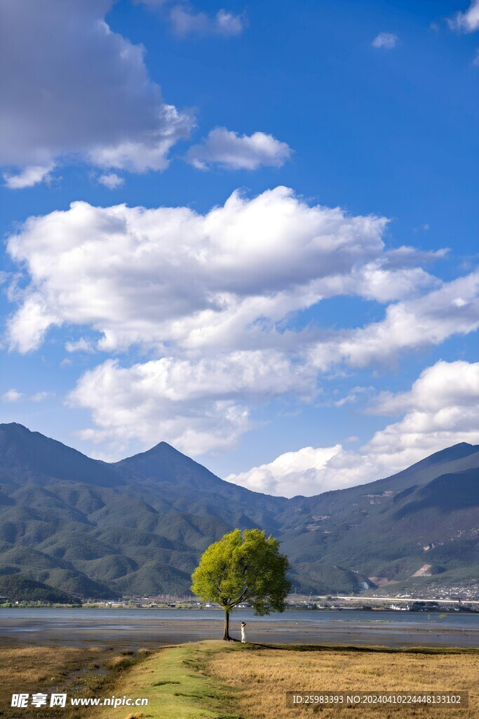 山区牧场