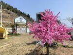 矛仙洞露营基地