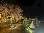 露营基地夜景