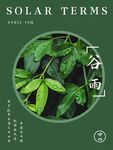 谷雨单页