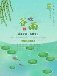 谷雨图片