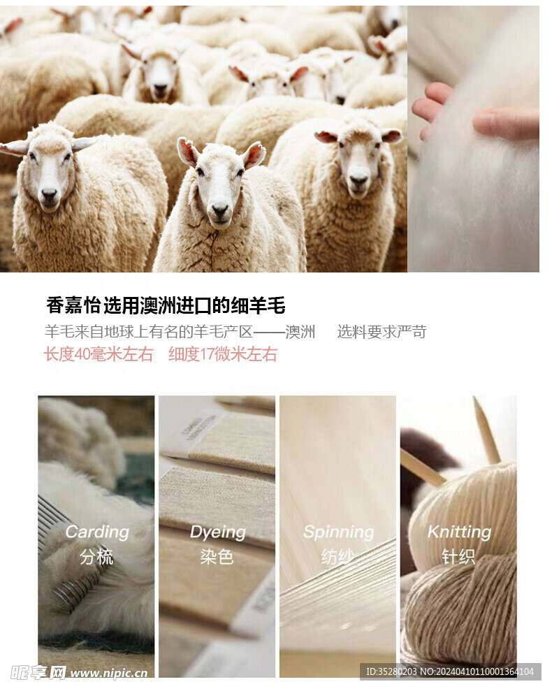 羊毛制作工艺羊群