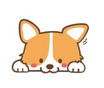 狗狗