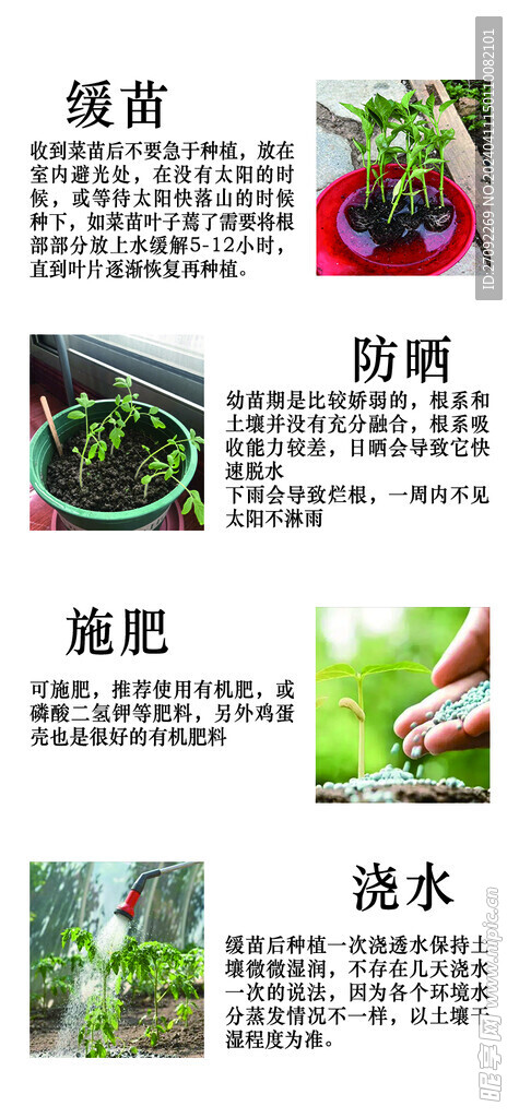 种苗种植说明