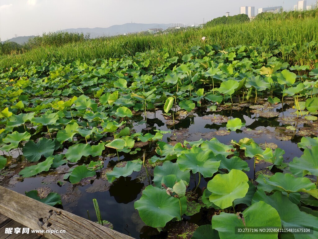 管社山庄