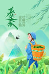 春茶