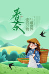 上新春茶