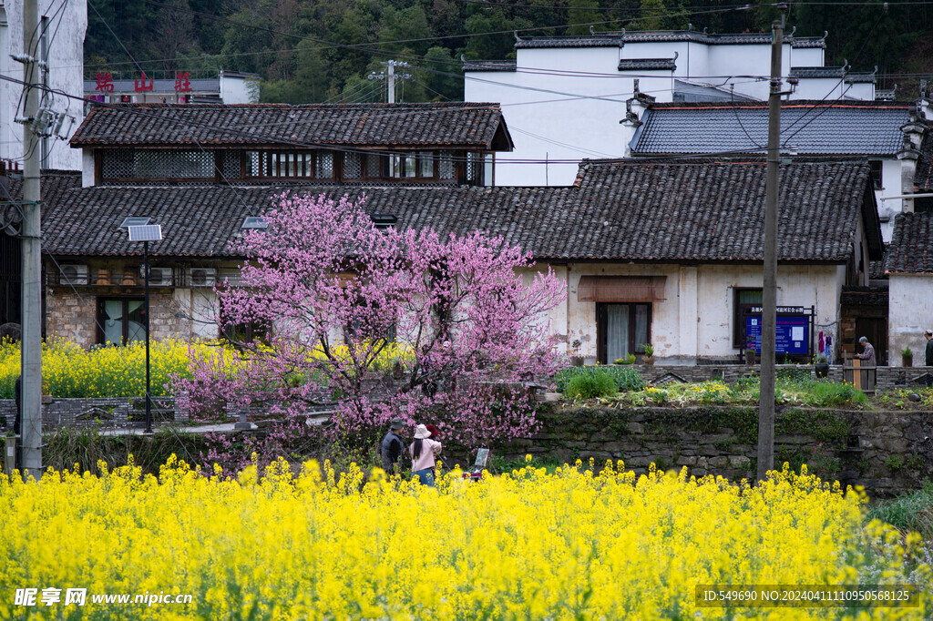 婺源虹关村图片