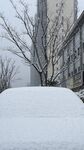 下雪