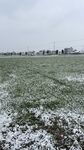 冬天的雪