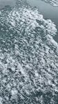 雪