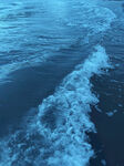 大海