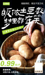 土豆电商海报