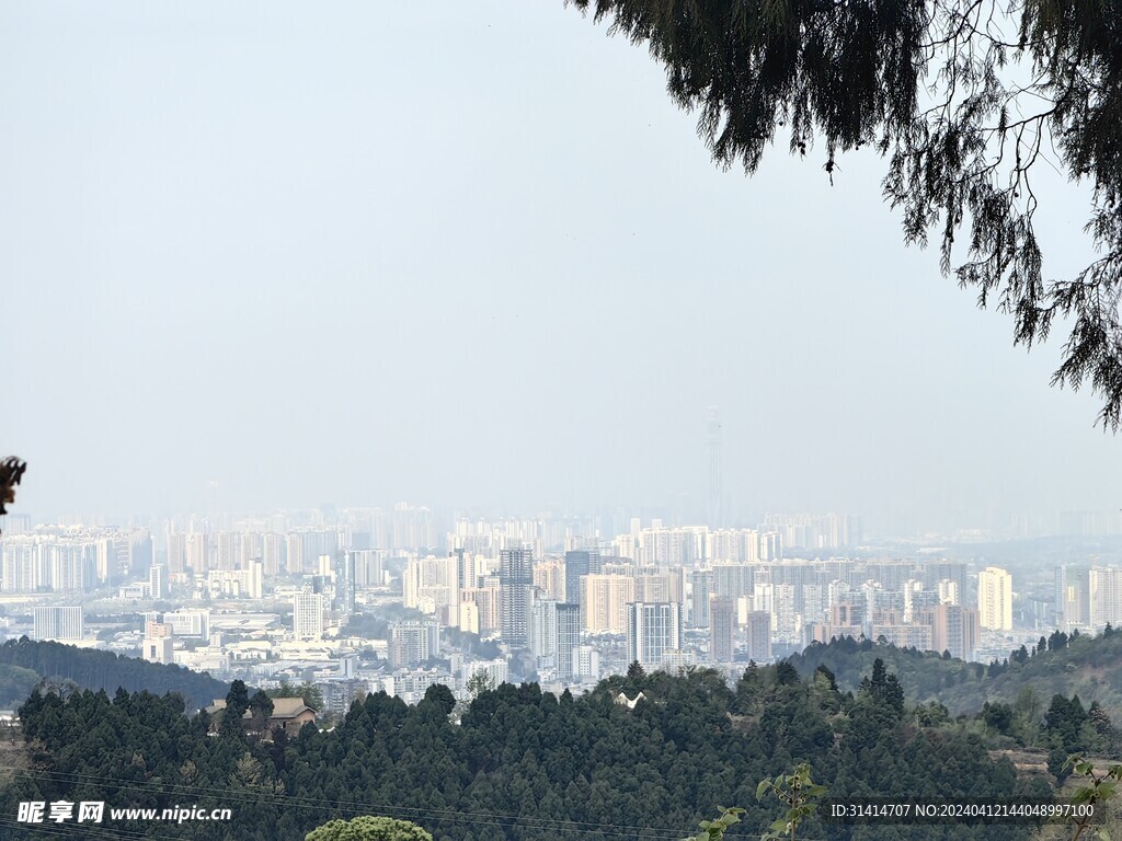 城市