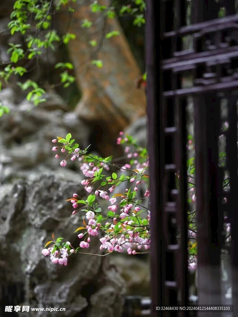 桃花