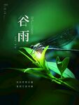 谷雨图片