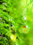 节气海报模板
