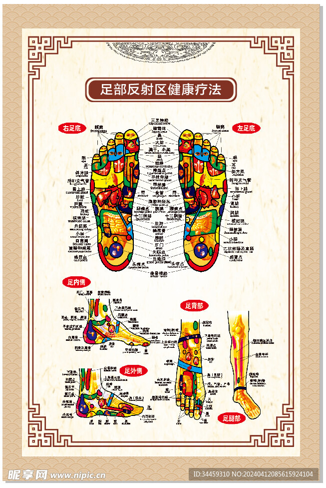 足部反射区健康疗法