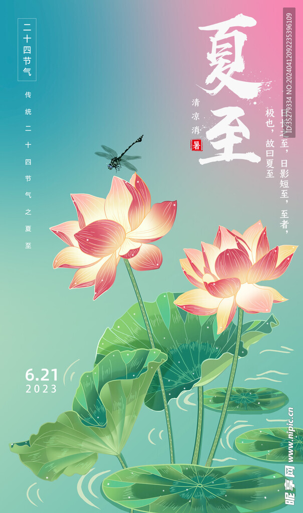 荷花蜻蜓夏至节气海报