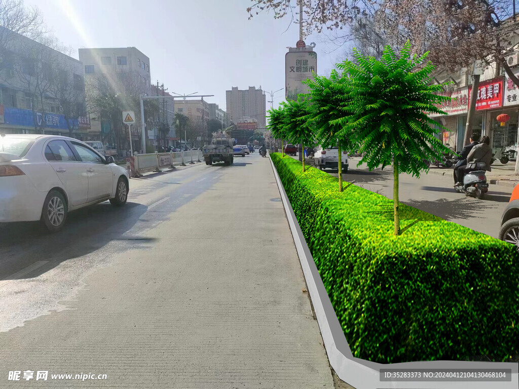 街道绿化