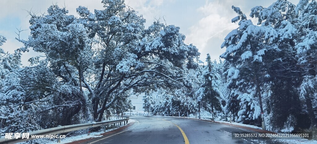 雪景